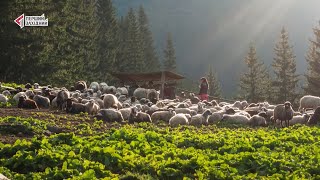 Фотоісторія львівського фотографа увійшлав до 10 найкращих історій року