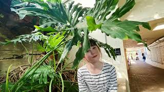 Visit Indoor botanical Garden at Fort Wayne