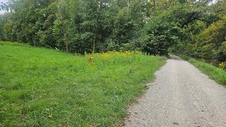 Flowers on the C&O Canal hiking north from Pennyfield Lock mid September 2024