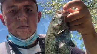 Pesca de lobina (smallmouth bass) de orilla