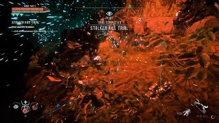 Horizon Zero Dawn: Stalker Killl Trial (1 Minute Flat)