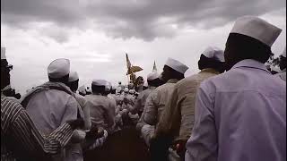 New Aashadhi Wari Video WhatsApp Status #pandharpur #2022 #vitthal #yatra #pune #alandi