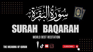 Surah Al -  Baqarah Fast Recitation Mishary | Surah Al -Baqarah Fast By Mishary By Rashid |