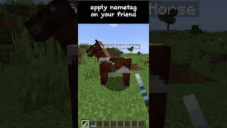 Fun with Horses in Minecraft!