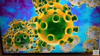 Coronavirus Sanitising Services 08001577484 (purple-rhino-co-uk)