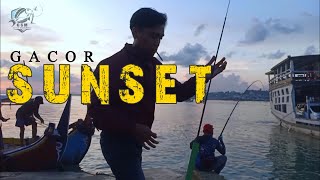 Mancing Baronang semakin Sore tambah GACOR