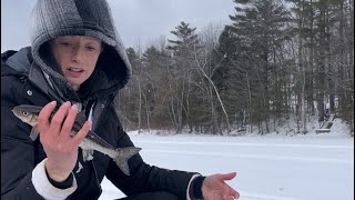 Maine ice fishing cusk and smelts