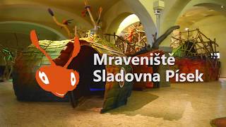 Expozice Mraveniště ve Sladovně v Písku