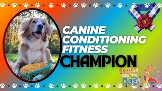 CHAMPION FITNESS DOG! | Canine Conditioning Fitness Champion | Do More with Your Dog