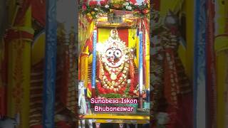 Sunabesa | Iskon Bhubaneswar Sunabesa #rathyatra2024 #sunabesha