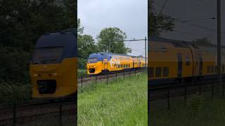 #treinleven virm door Middelburg