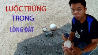 luộc trứng dưới lòng đất Kết quả NTN \ Boil eggs in the ground