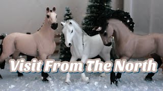 Visit From The North - Schleich Horse Short Film - |Phoenix Stables