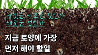 봄이오면토양에먼저해야할일#부추밭거름주기전꼭해야할일#What to do with the soil first when spring comes#농사유튜브