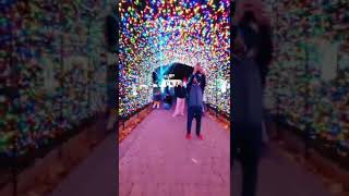 Must visit - free light festival in Brampton- Gaze park - Downtown Brampton