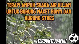 Terapi ampuh suara air hujan untuk burung macet bunyi dan burung stress #terapihujan #terapiburung