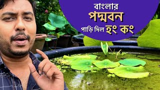 Lotus Flower Kolkata | পদ্মবন | Lotus Garden