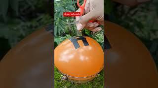 #diy #gardening #craft #garden #shortsvideo #diycrafts #trending #experiment