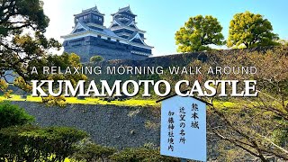 A Morning Walk around Kumamoto Castle | Cherry Blossoms in Spring, 2023 | Kumamoto, Japan