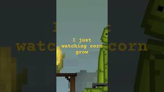 watching corn