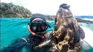 Spearfishing big GROUPER | nembak kerapu besar di Aceh