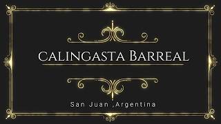 Calingasta, El alcazar ,Barreal,Pampa del Leoncito