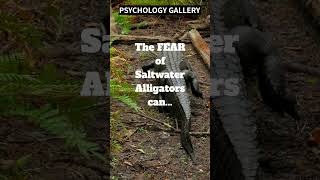 The UGLY TRUTH about FEARING Alligators!!!👀#shorts #shortsvideo #motivation #psychology