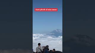 Piknik di atas awan telomoyo #shorts #alam #gunung