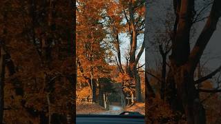 The beauty of nature 🍂🍁🍂Car rides with my mom