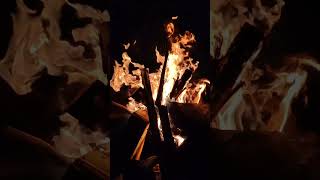 Bonfire #bonfire #youtubeshorts #viralshort #travelling #explorewithme #gulimata