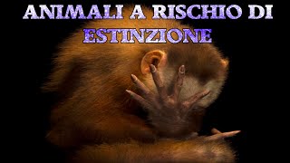 ANIMALI A RISCHIO DI ESTINZIONE