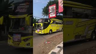 TISAL GROUP SALEHO#busmania #basuri #shorts #remix #buspariwisata