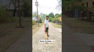 Gully Cricket 🏏