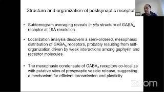Neuro Zoom (12/20/2021) – Hu Zhao (CIBR) and Guoqiang Bi (USTC)