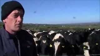 Cathal Moran Dairy Farmer Co. Kilkenny Importance of body condition scoring cows