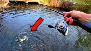 Urban Drainage Pond BASS For Two days