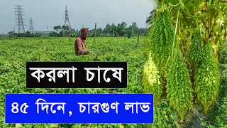 করলা চাষ করে, ৪৫ দিনে চারগুণ লাভ করে স্বাবলম্বী কৃষক - পর্ব 09 - Krishi Bicitro - কৃষি বিচিত্র