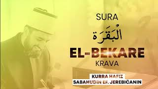 02. Sura El-Bekare - kurra hfz Sabahudin ef. Jerebičanin [UČENJE KUR'ANA]