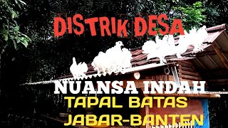 Hanya ada dua Rumah beternak ayam dan burung hias- Suasana pedesaan Jasinga Bogor - Rural Indonesia