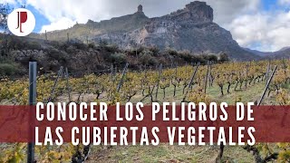 Conocer los peligros de las cubiertas vegetales