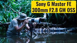 Sony G Master FE 300mm F2.8 GM OSS incelemesi