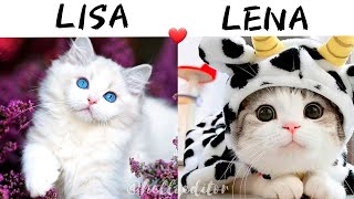 Lisa or Lena 🦋 | Lisa or Lena Animals,Pets