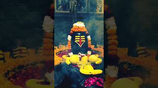 Mere Bholenath #bholenath #mahadev #mahakal #sawan #delhi #status  #viralvideo #trending #ytshorts