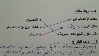 الفرض 2 الدورة الثانية النشاط العلمي المرحلة الرابعة المستوى السادس