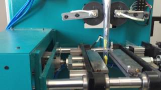 Pest Pouch Packing Machine (Pneumatic)