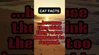 "Meow to Know: Fascinating Cat Facts!"