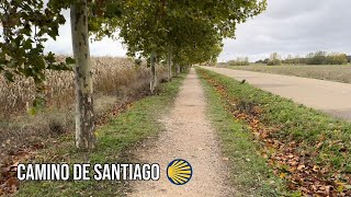 Camino De Santiago - Day 18