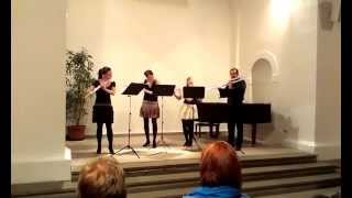 Pizzicato Flutes (Strauss-Ittzés) FLAUTUS VOCIS