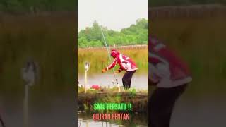 SATU PERSATU ‼️ GILIRAN GENTAK