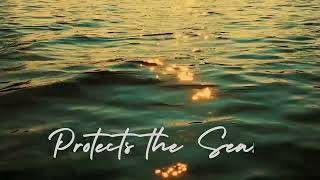 Protect the Sea